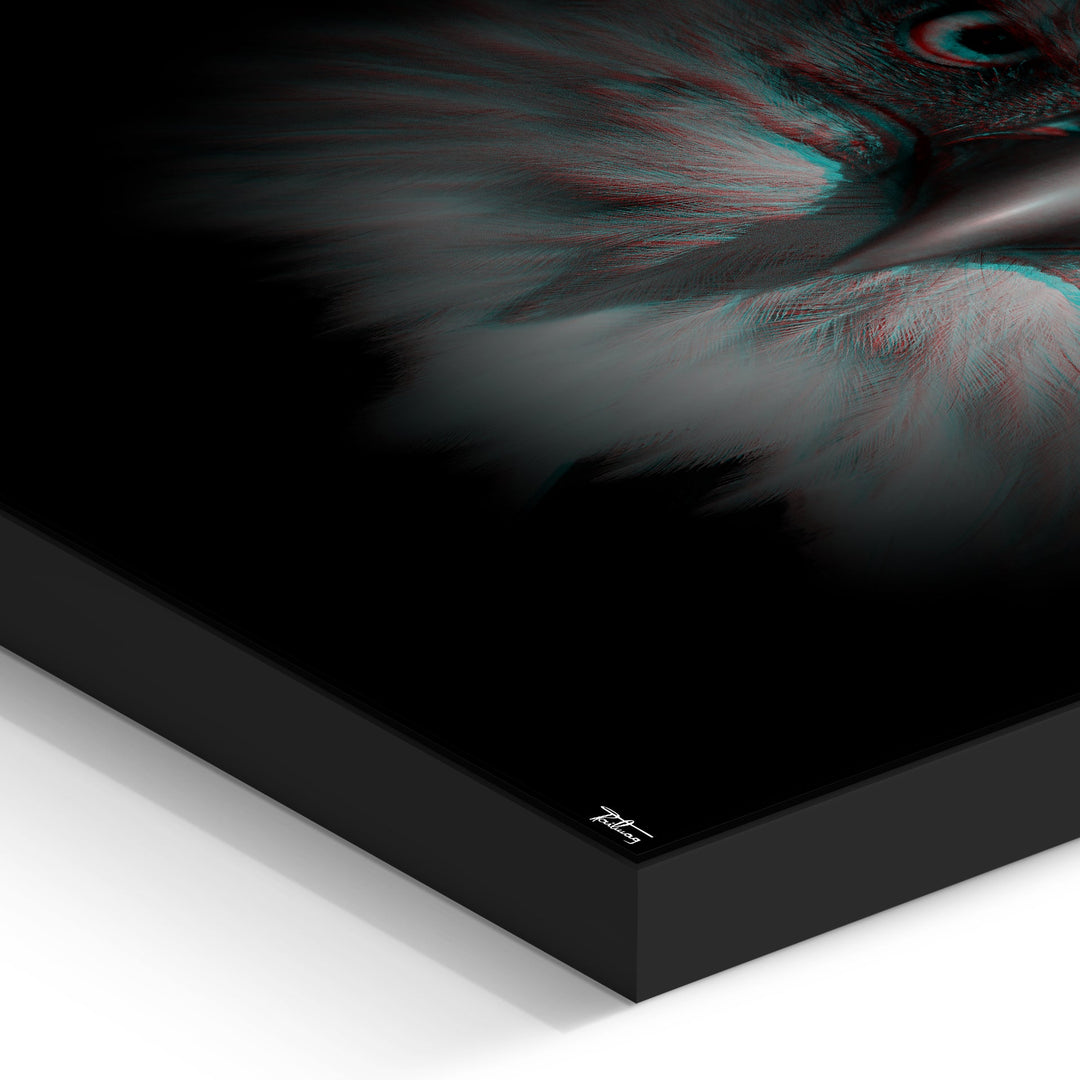 Clarity – The Eagle Fragment