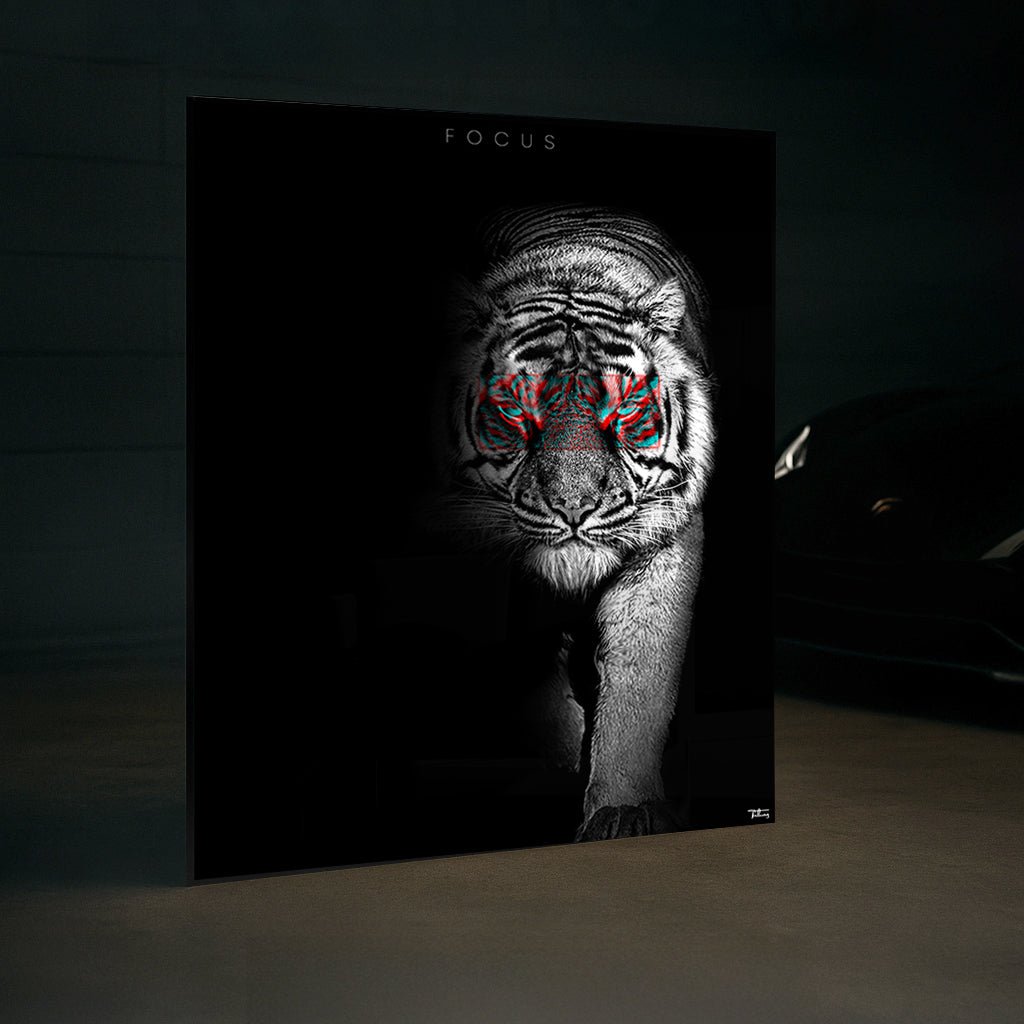 Focus – The Tiger Fragment