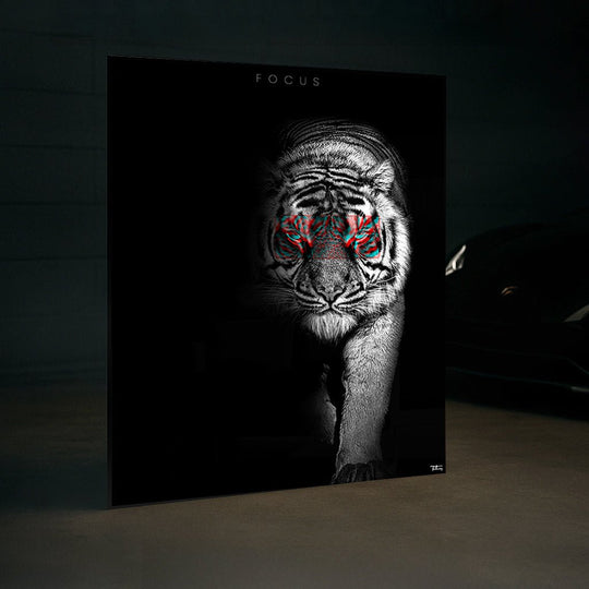 Focus – The Tiger Fragment