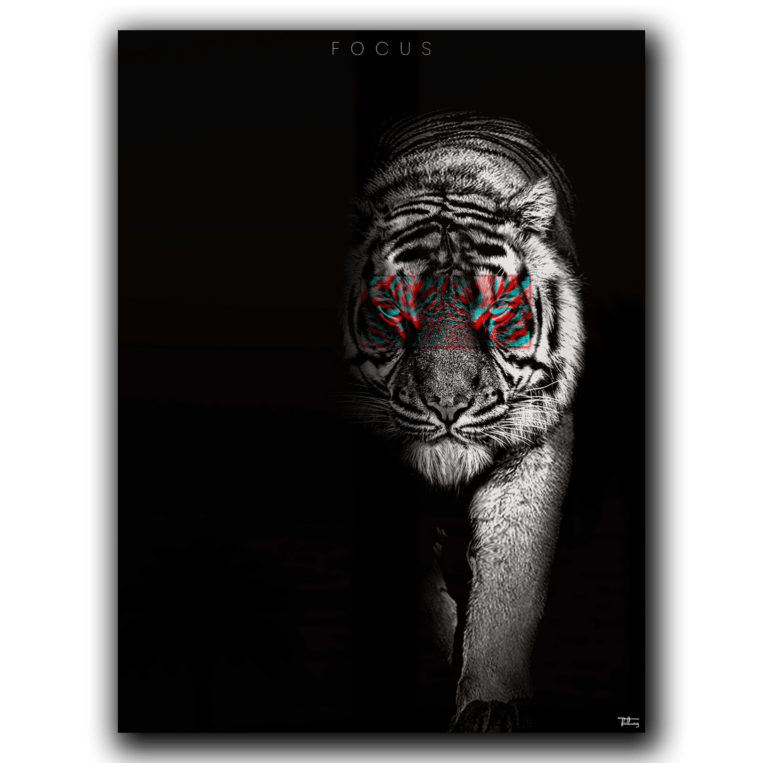 Focus – The Tiger Fragment