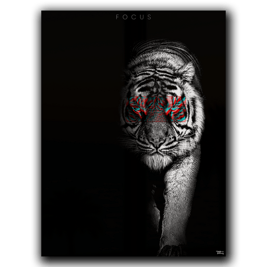 Focus – The Tiger Fragment