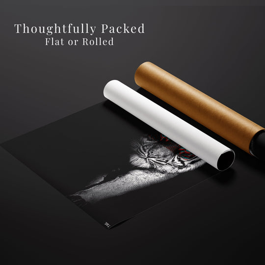 FOCUS’ fine art print of a tiger partially rolled for packaging, shown with premium flat and tube shipping options.