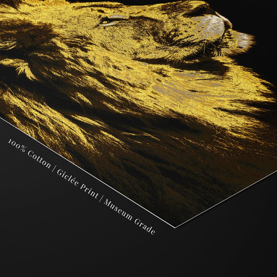 Detailed macro image of the ‘MASTERY’ fine art print showing rich golden fur on museum-grade, 100% cotton giclée paper.
