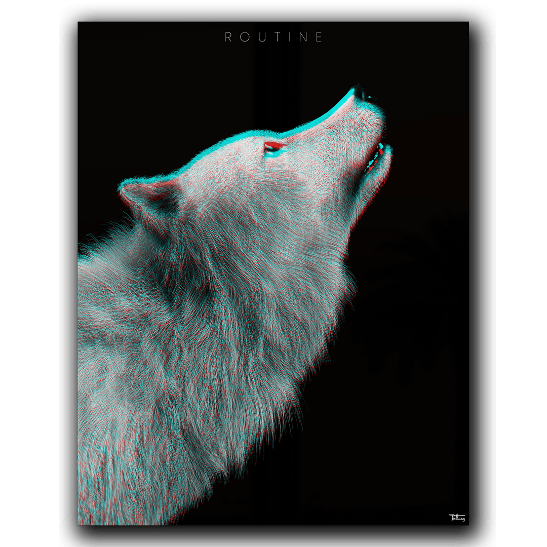 Routine – The Wolf Fragment