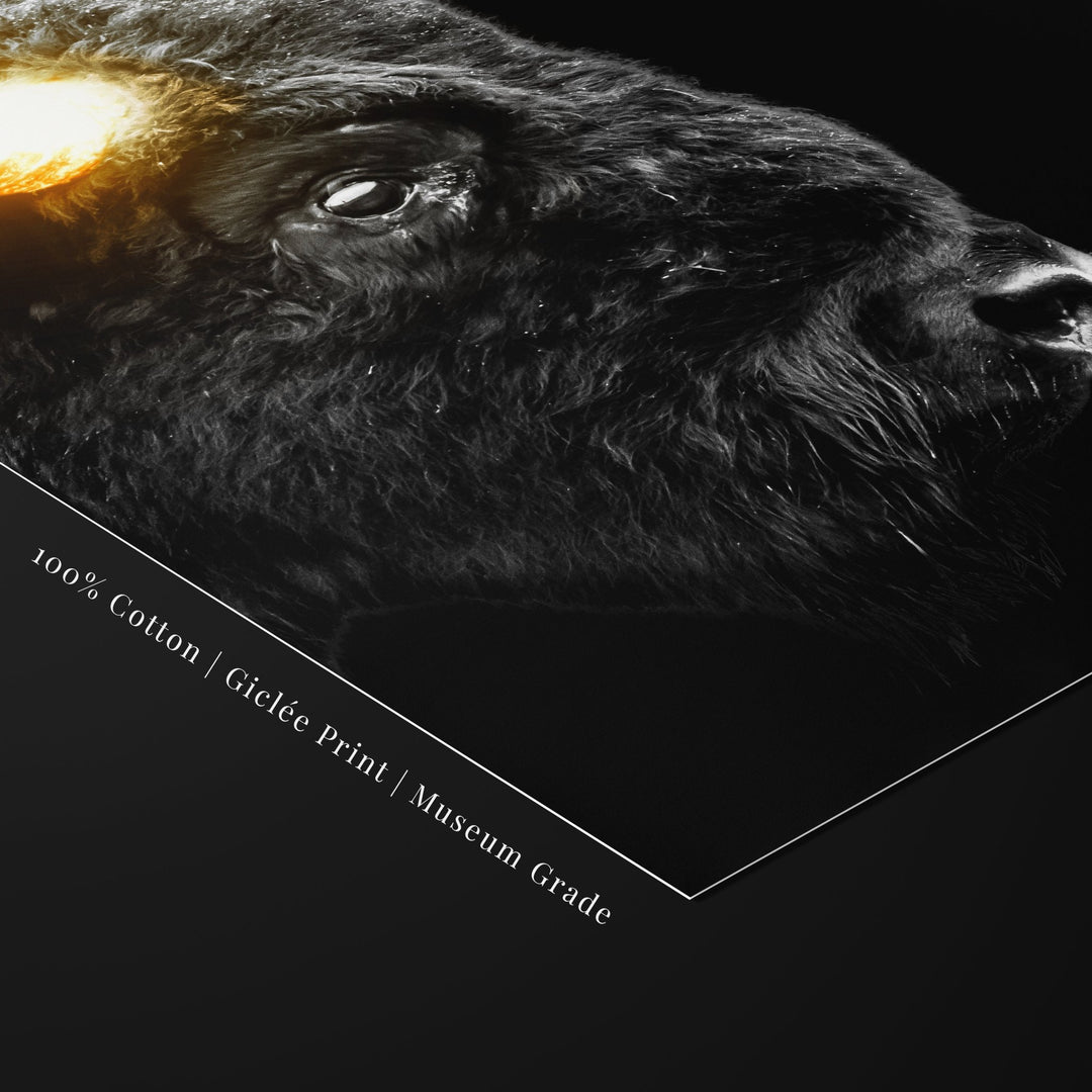 Detailed shot of the ‘WILLPOWER’ print showing the bison’s fur and golden horns on museum-grade, 100% cotton giclée paper.