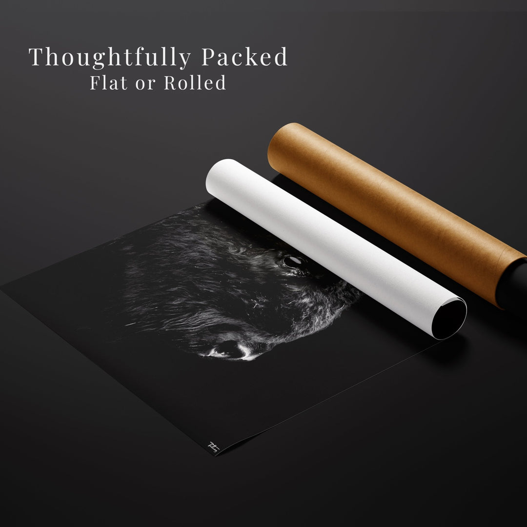 WILLPOWER’ bison art print partially rolled for premium flat or tube packaging, showcasing careful print protection and texture.