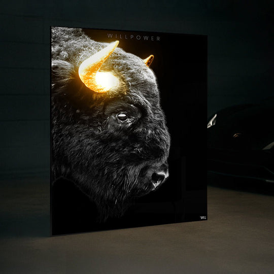 Willpower – The Bison Fragment