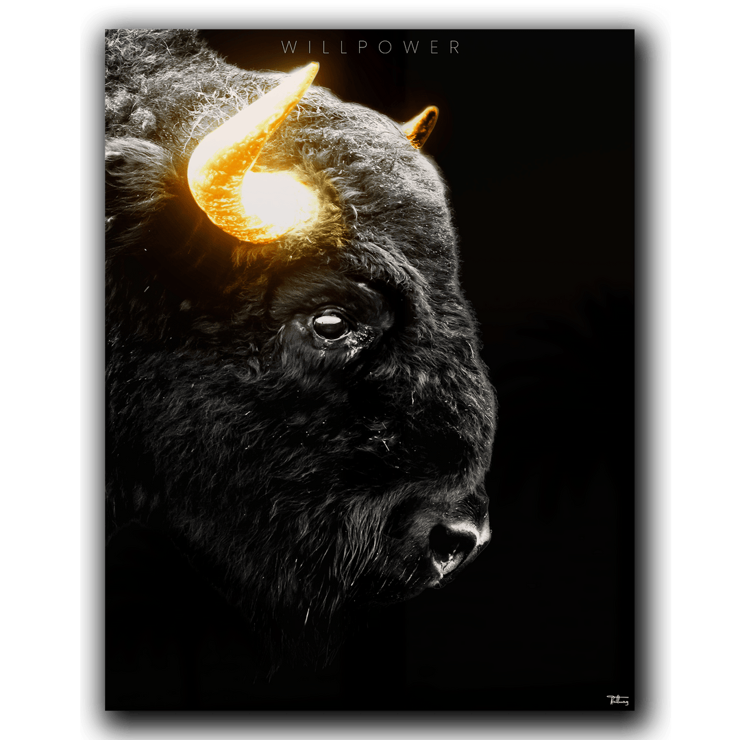 Willpower – The Bison Fragment