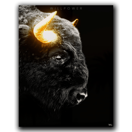 Willpower – The Bison Fragment